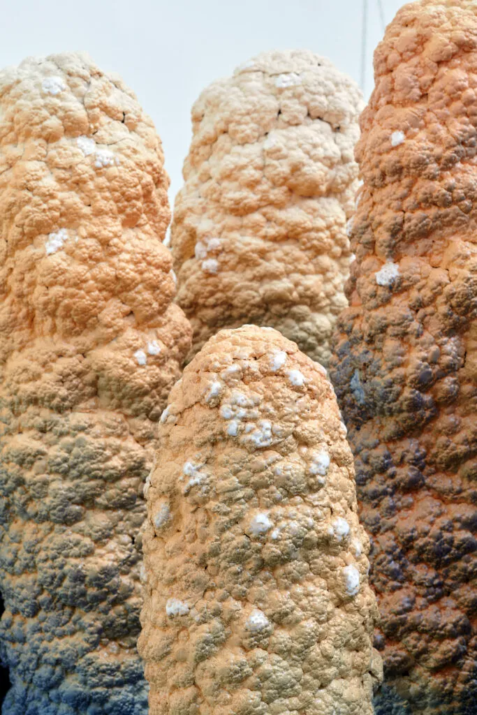 Photo by @Sylvain Deleu_ Detail 1
