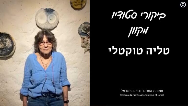 ביקור מקוון – 'טייסת פרפרי דם' | טליה טוקטלי