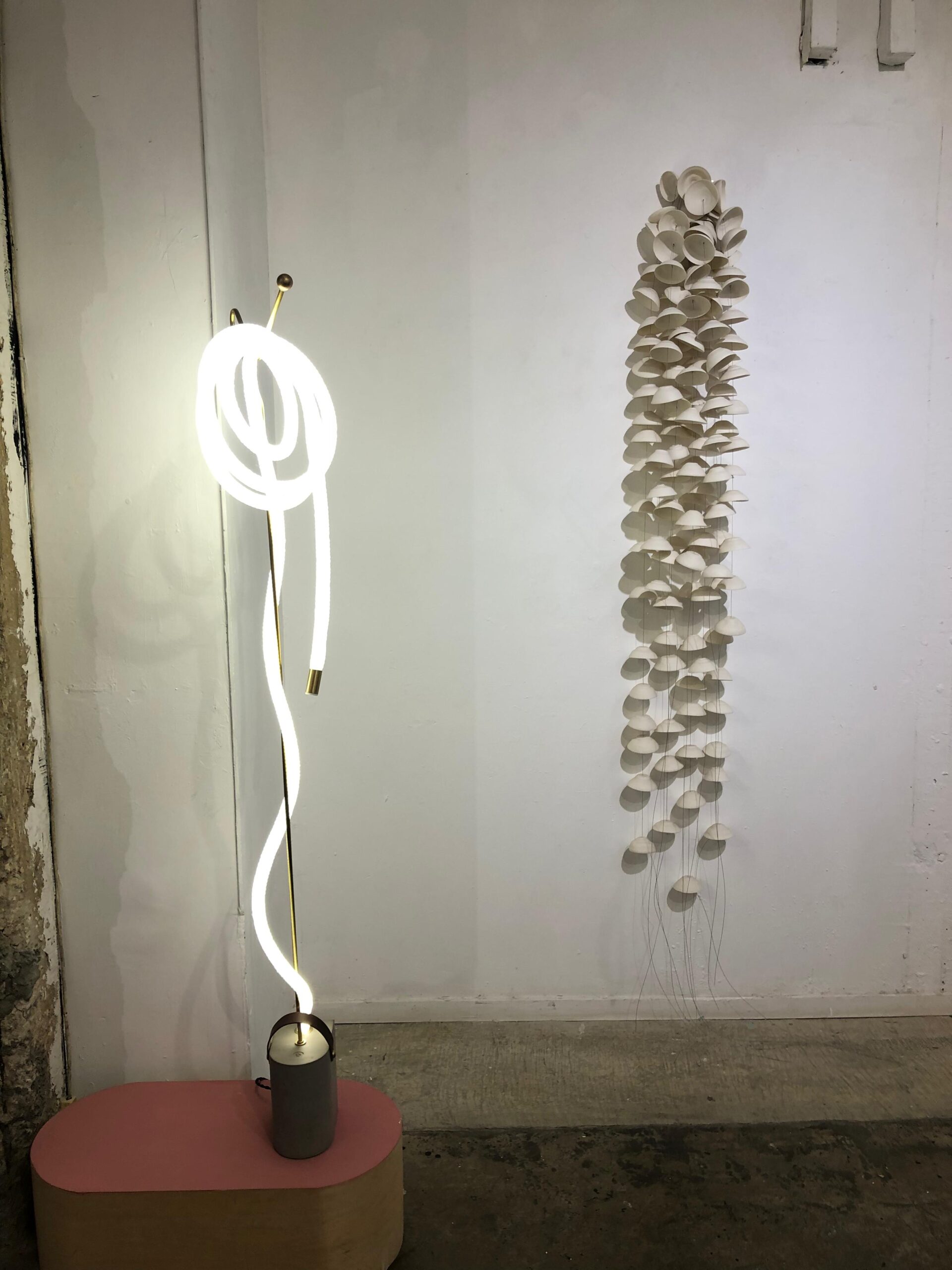 WhatsApp Image 2025-12-10 at 14.57.46