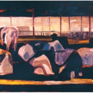 סיור מחוט לעץ