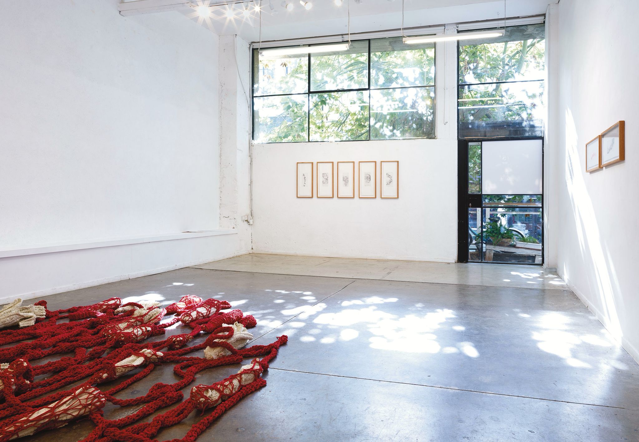 WhatsApp Image 2026-01-28 at 15.24.46 (1)