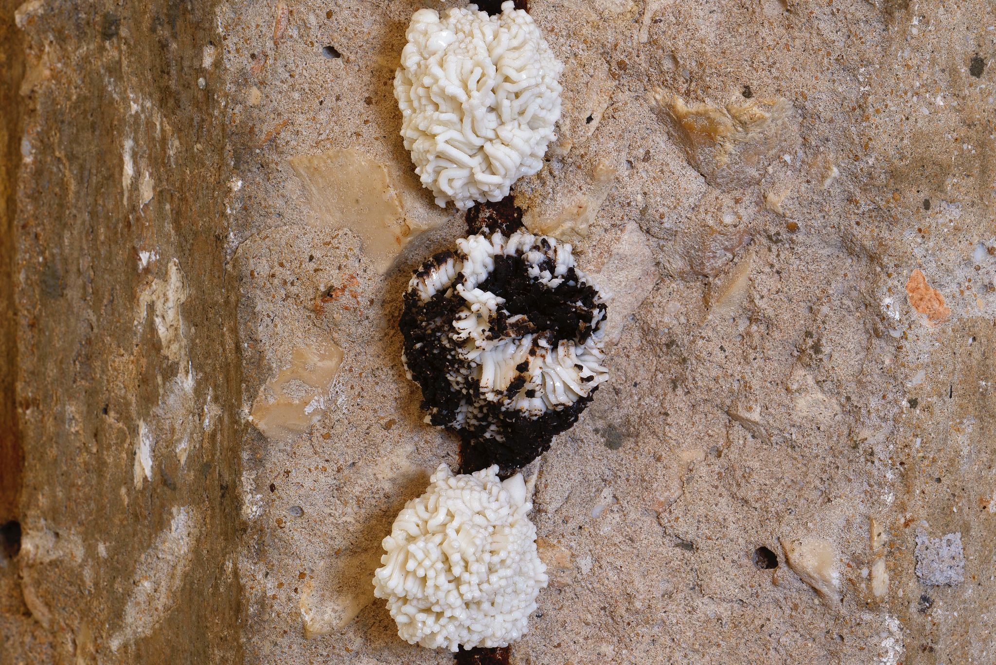 WhatsApp Image 2026-01-28 at 15.24.46 (3)