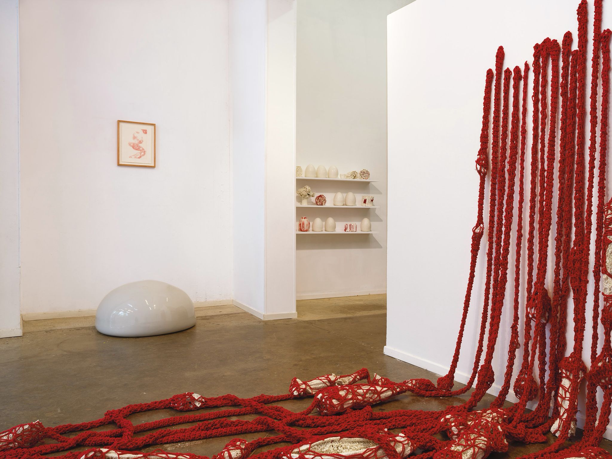 WhatsApp Image 2026-01-28 at 15.25.16