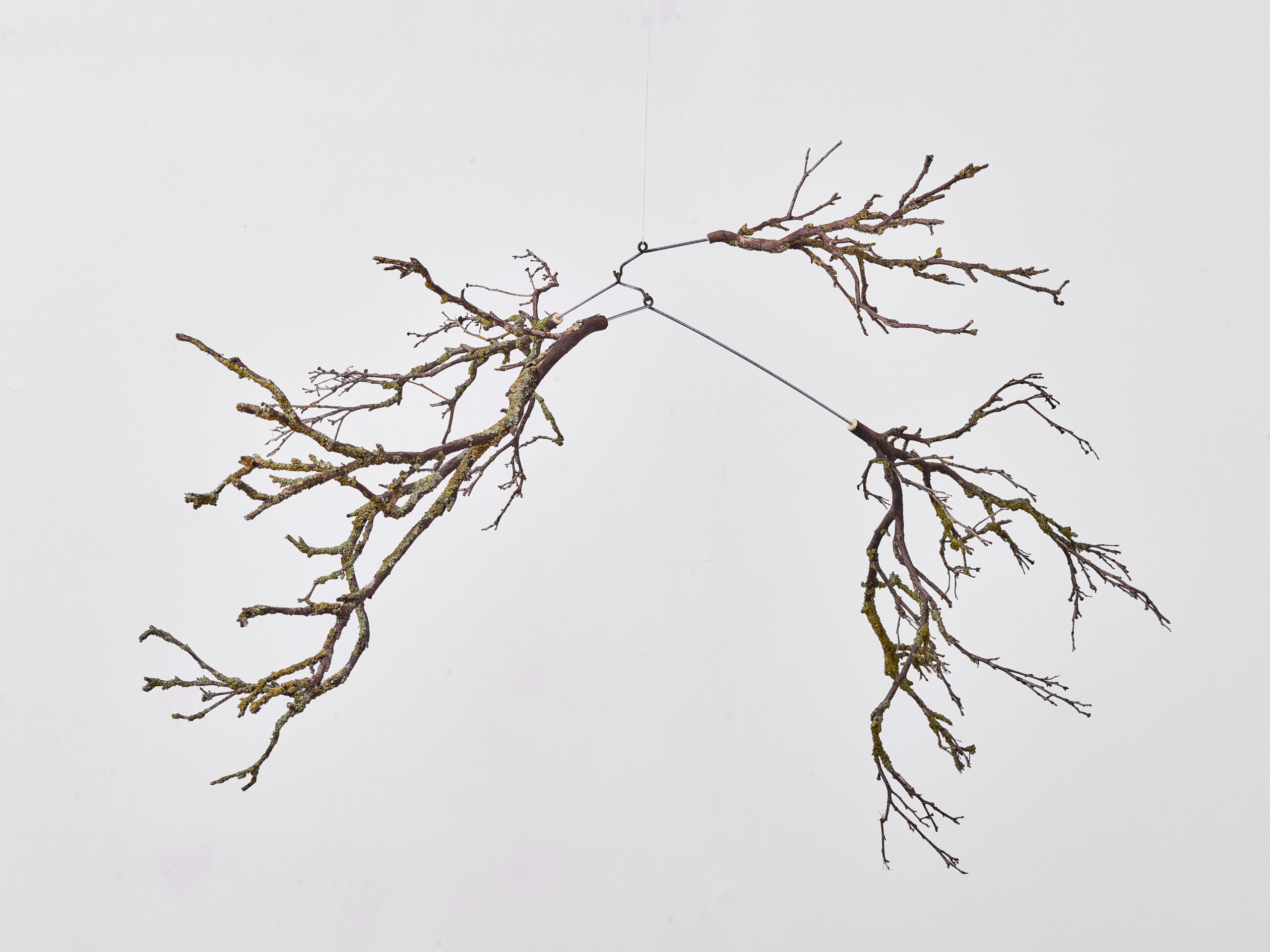 יובל בוכשטב BY5 מאזן אקולוגי צילום דן פרץ 4