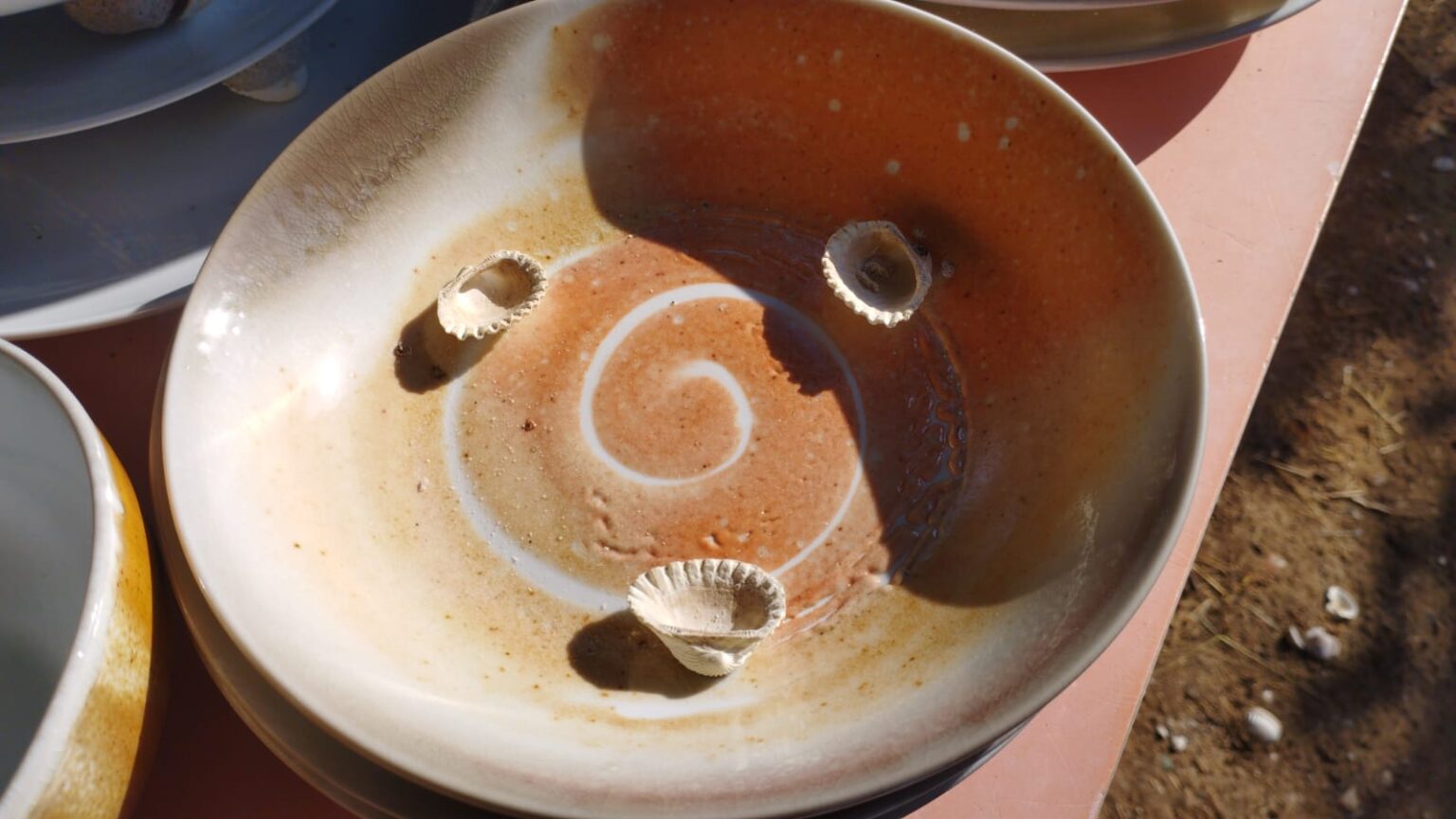 WhatsApp Image 2026-03-17 at 11.37.08 (3)